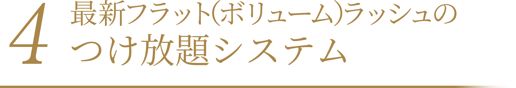 最新フラット（ヴォリューム）ラッシュのつけ放題システム